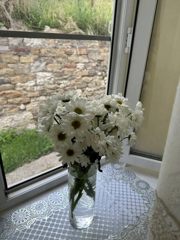 Уютный домик аквамарин у водопада и леса