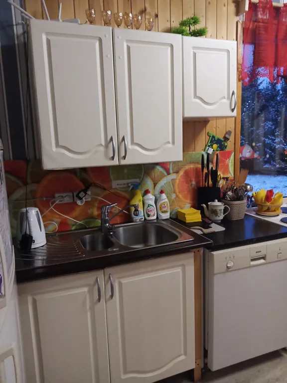 Дом в Карелии с печью-камином и видом на лес