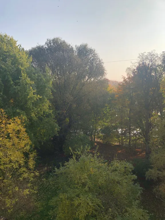 Большая квартира около Верхнего озера