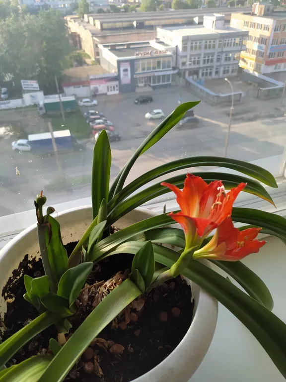 Уютная квартира в престижном районе