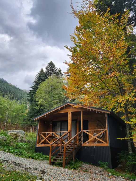 Коттедж Коттедж Уютное шале в окружении леса — Архыз