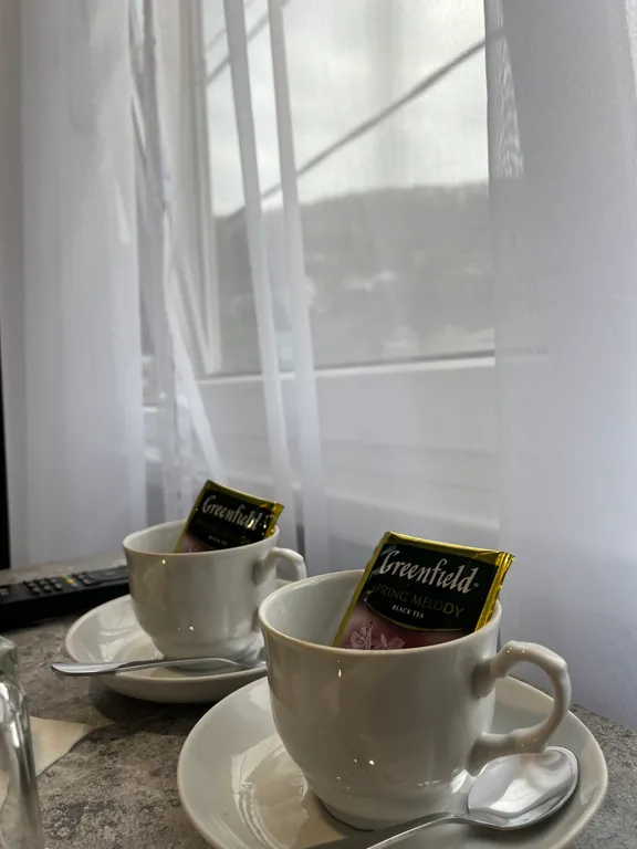 Компактный комфортабельный номер с видом на реку и горы