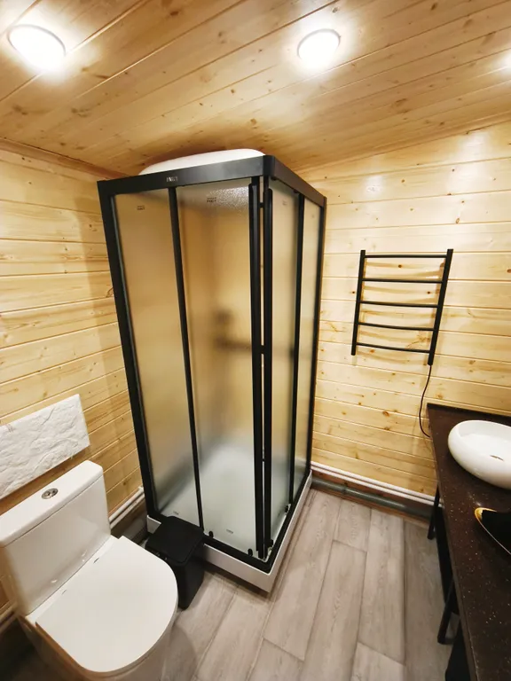 Дом с купелью в сосновом лесу