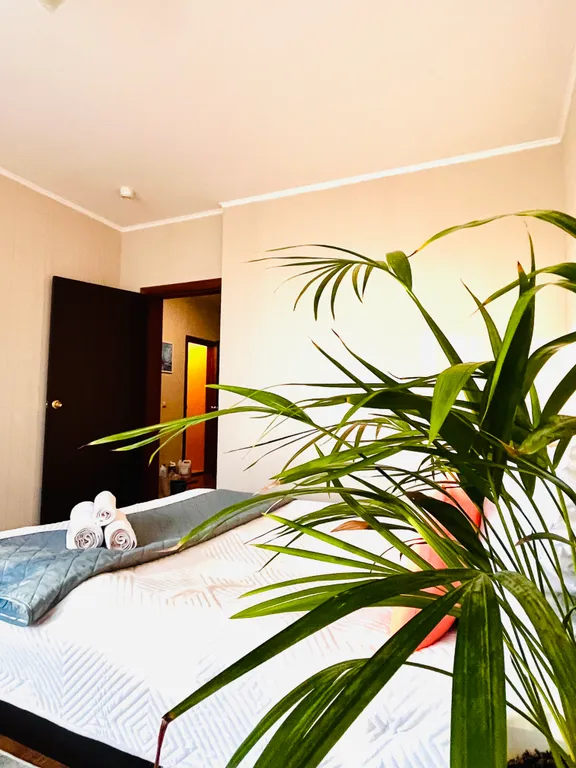 Комфортная квартира в центре города