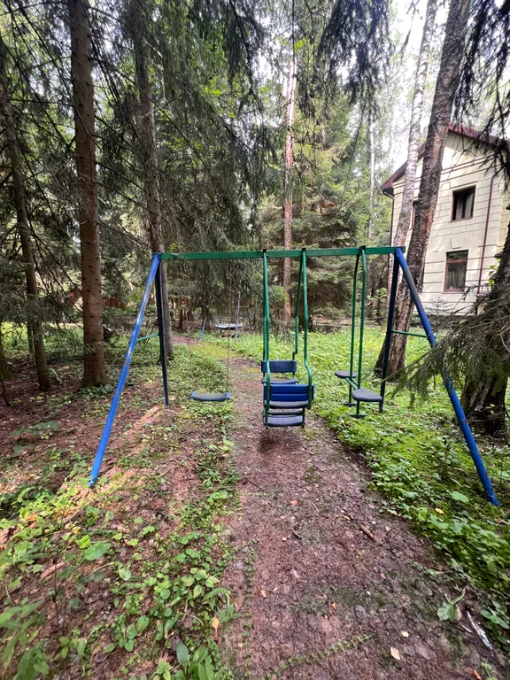 Усадьба в хвойном лесу