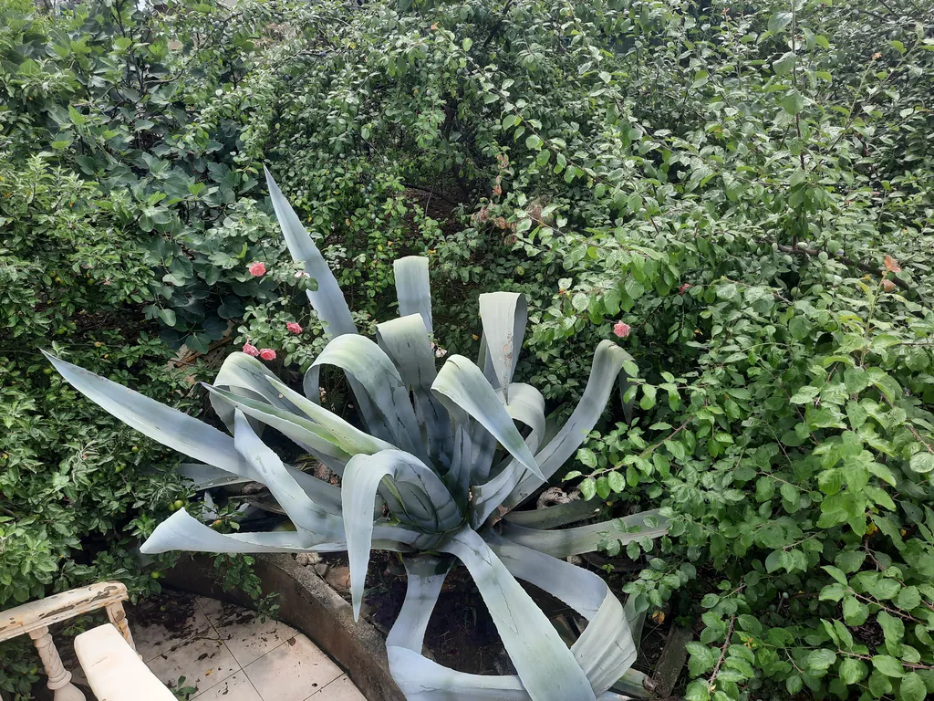 Уютное гнёздышко на лоне природы