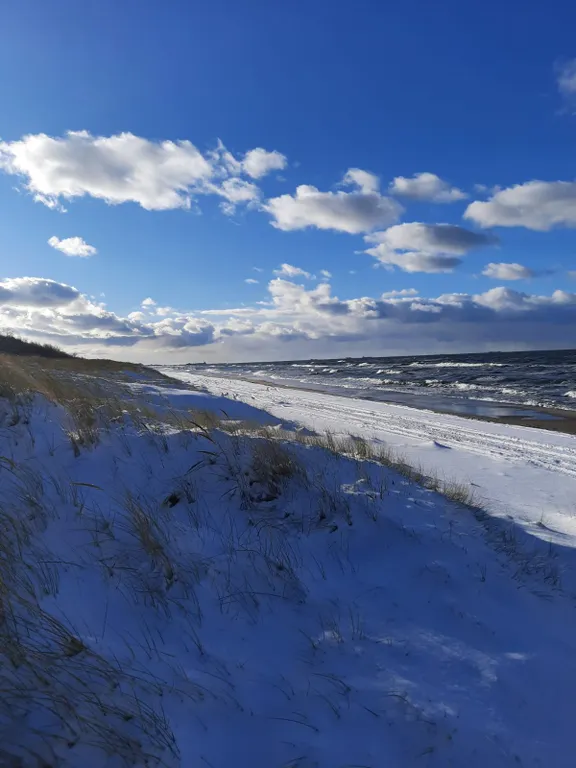 Дом на самом берегу моря