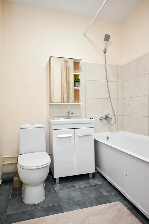 Квартира Уютная квартира возле ТРЦ Планета — Красноярск