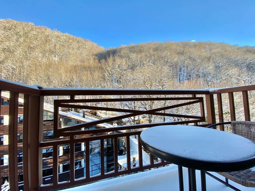 Квартира с балконом и видом