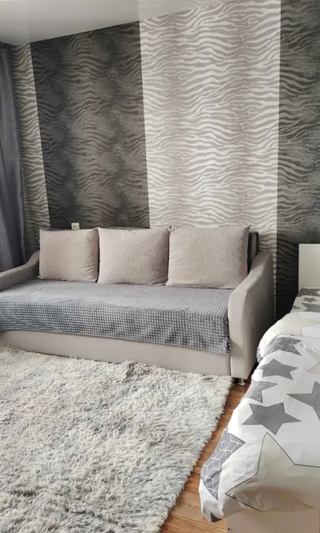 Однокомнатная квартира в центре города