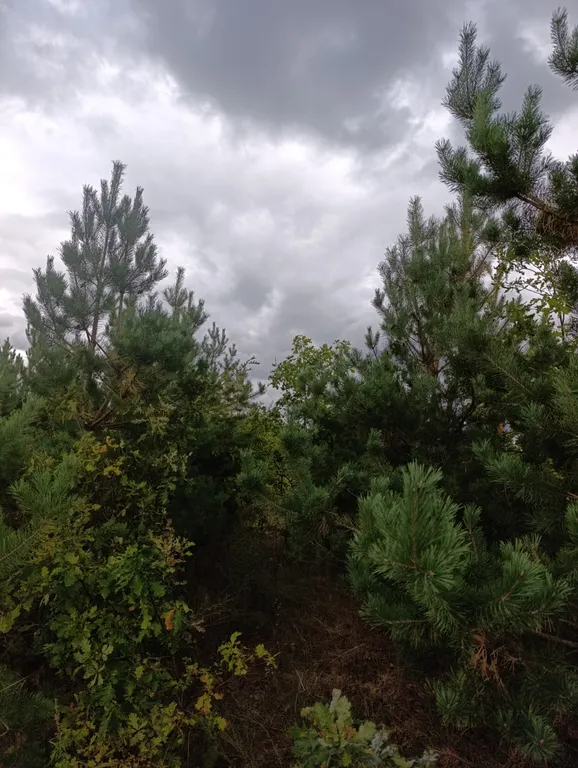 Уютный домик на Кумысной поляне