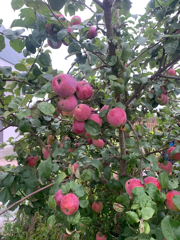 Дом для отдыха