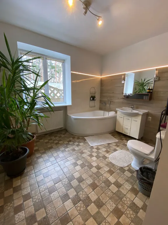 Дом с камином в лесу возле залива