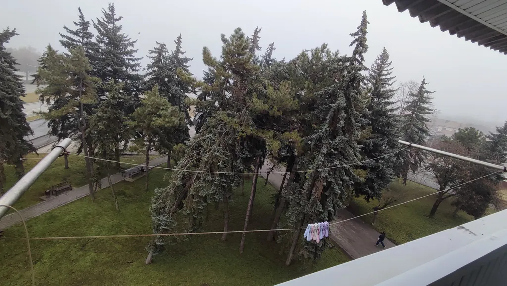 Уютная студия с видом на парк со всеми удобствами