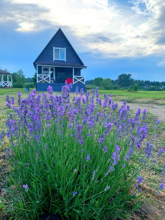 Коттедж Усадьба Павлихино Гостевой дом на берегу реки — аренда посуточно в Опочка