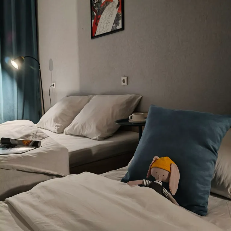 Квартира Квартира Уютная студия с прекрасным видом на парк Прищепка — Красноярск