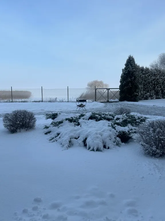 Дом на берегу Псковского озера