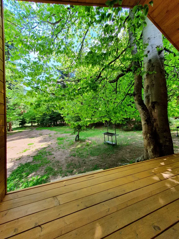 Коттедж Коттедж Шале в лесу — Архыз