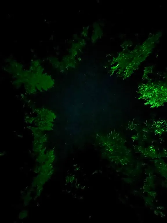 Загородный дом Царская усадьба