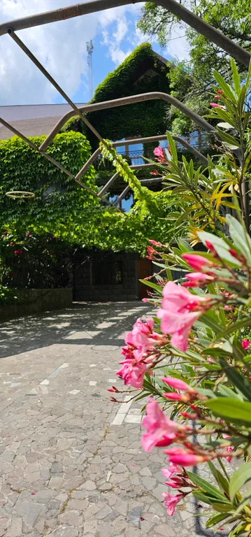 Дом с теплым бассейном у моря в Ялте