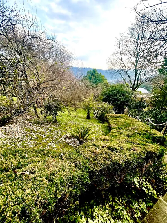 Трёхэтажный таунхаус в живописном месте с большим садом