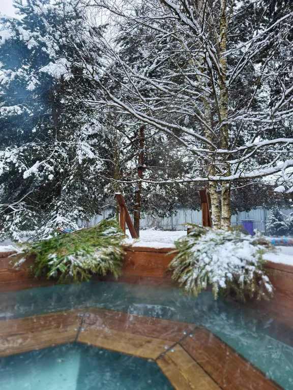 Втерем-ок уютный дом с баней на дровах и чаном, альпаки и лошадки