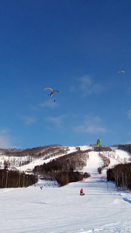 Дом на высоте ГК Горный воздух