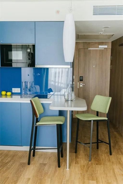 Студия с видом на парк