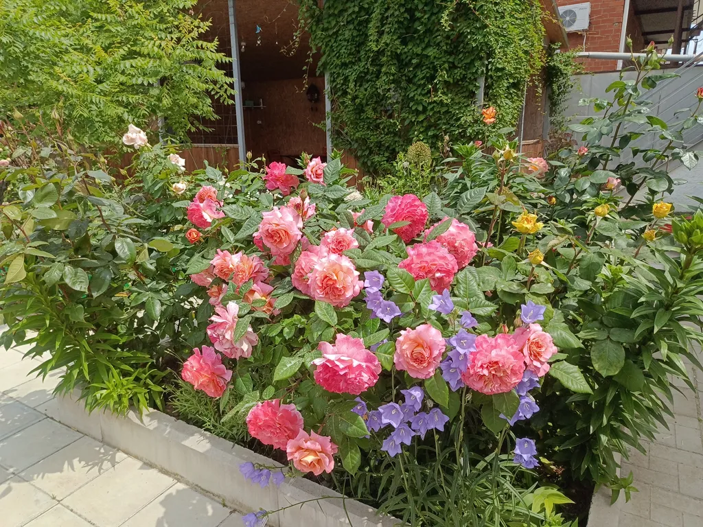 Двухместная комната в частном доме