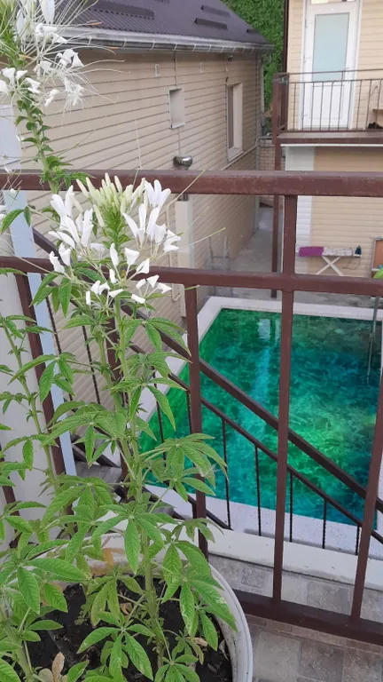 Двухкомнатный четырёхместный номер комфорт