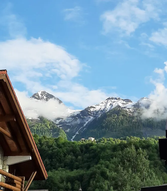 Апартамент Цветы и птицы