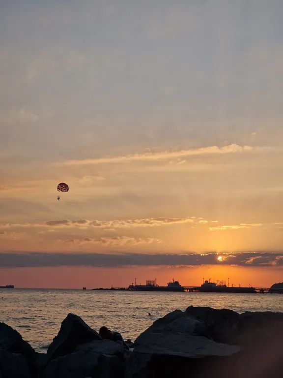 Уютная студия в лесу