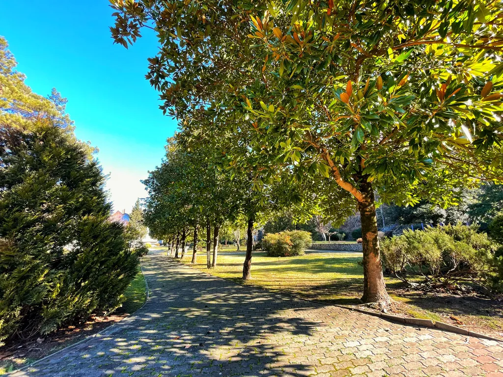 Апартаменты в Ботаническом саду 7 минут до пляжа