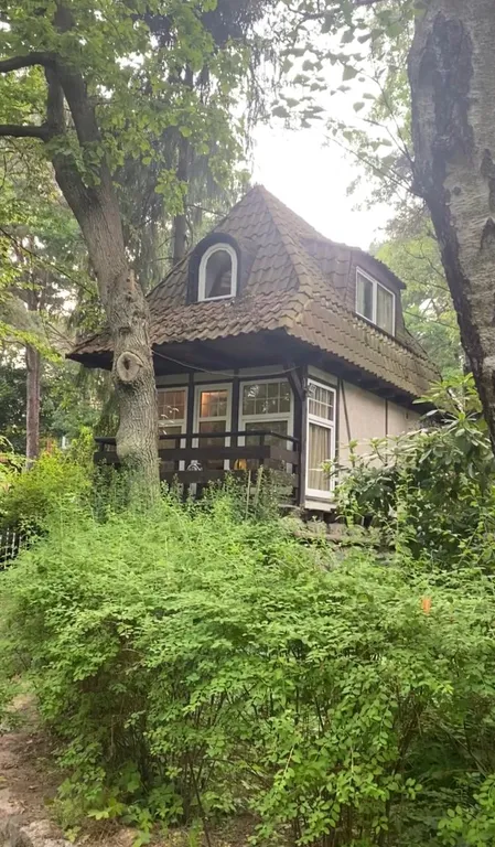 Коттедж Домик лешего — аренда посуточно в Светлогорск