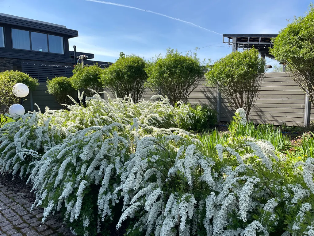 Дом Мэрилин Монро