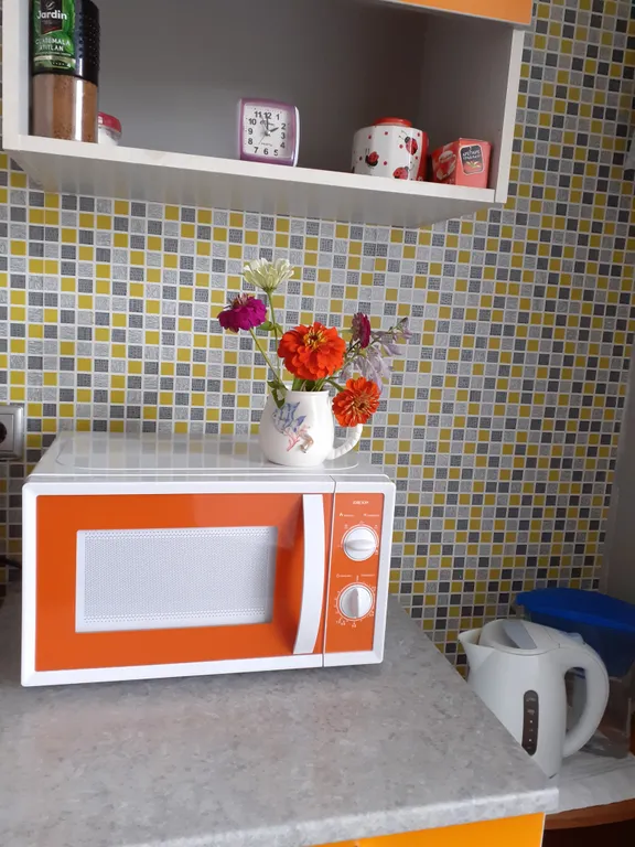 Квартира Уютная квартира рядом с парком и удобным заездом — Лодейное Поле