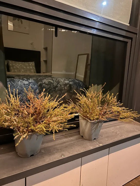 Лисья нора с сауной и террасами