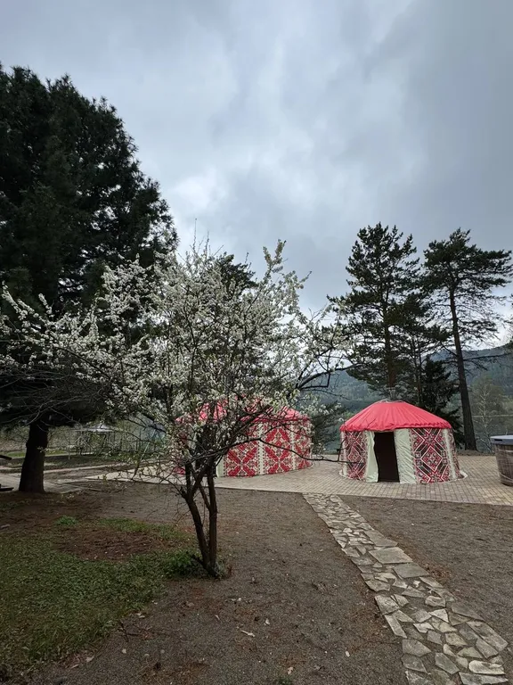 Идеальный отдых на берегу Енисея