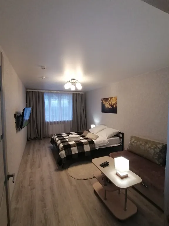 Квартира Аппартаменты с шикарным видом на город и Волгу — аренда посуточно в Тольятти