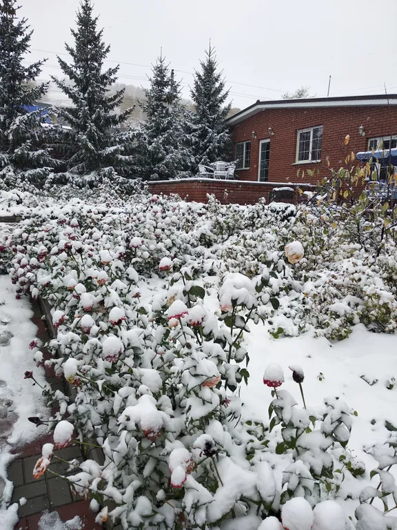 Дом для семейного отдыха с баней на дровах