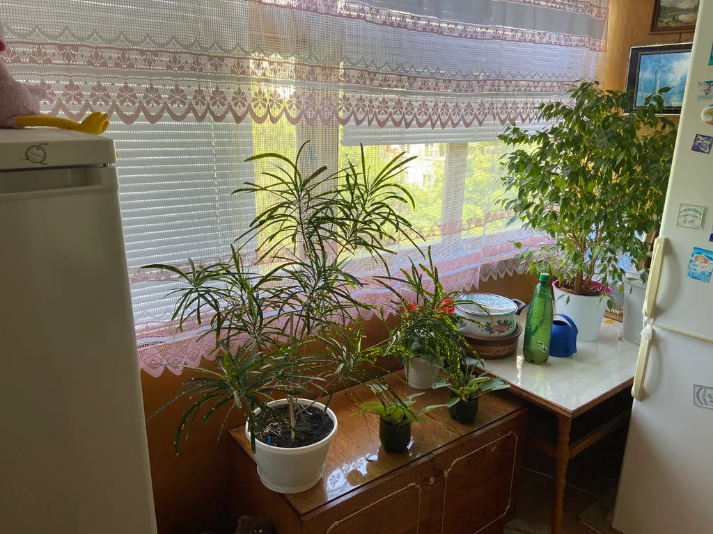 3-комнатная квартира в районе парк Говорухина