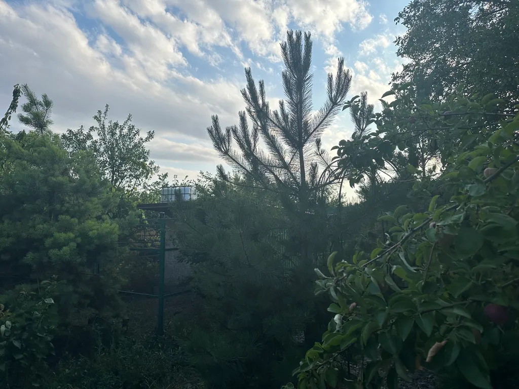 Уютный домик рядом с садом, хвойными деревьями, рядом с тц