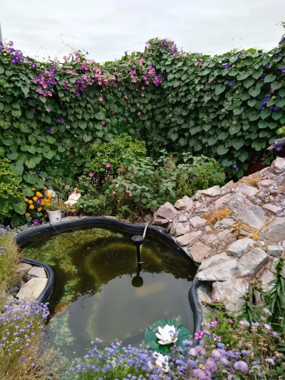 Большая комната в 800 м от озера