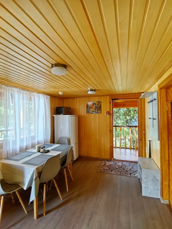 Эко вилла панорамная