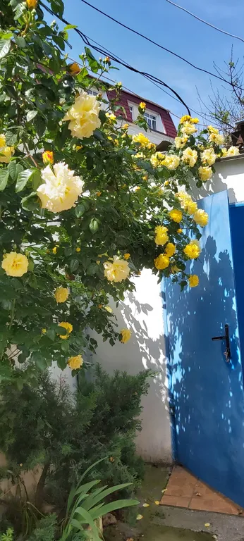 Коттедж Летний домик — Евпатория