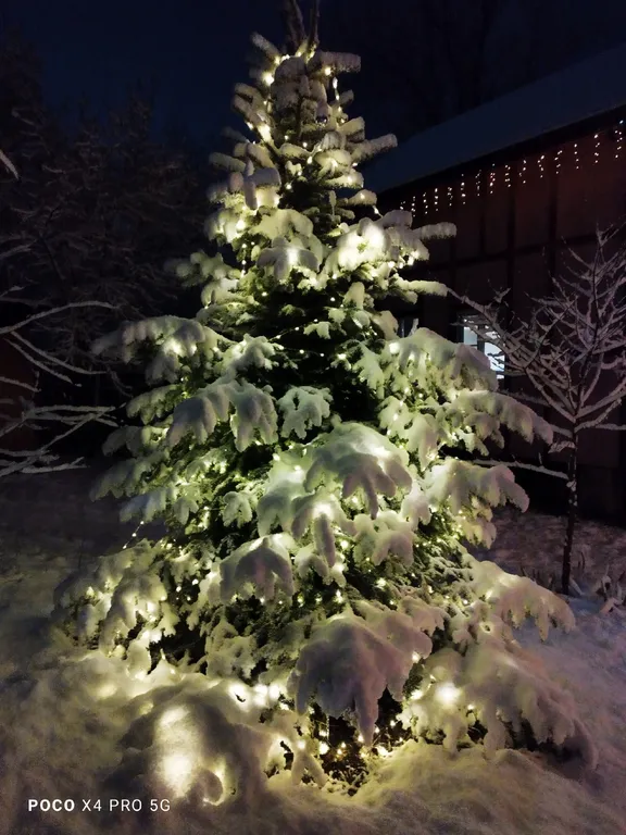 Романтик у реки