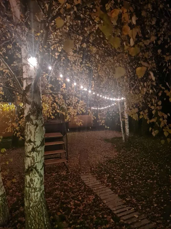 Уютный дом с баней и сибирским чаном на участке 8 соток