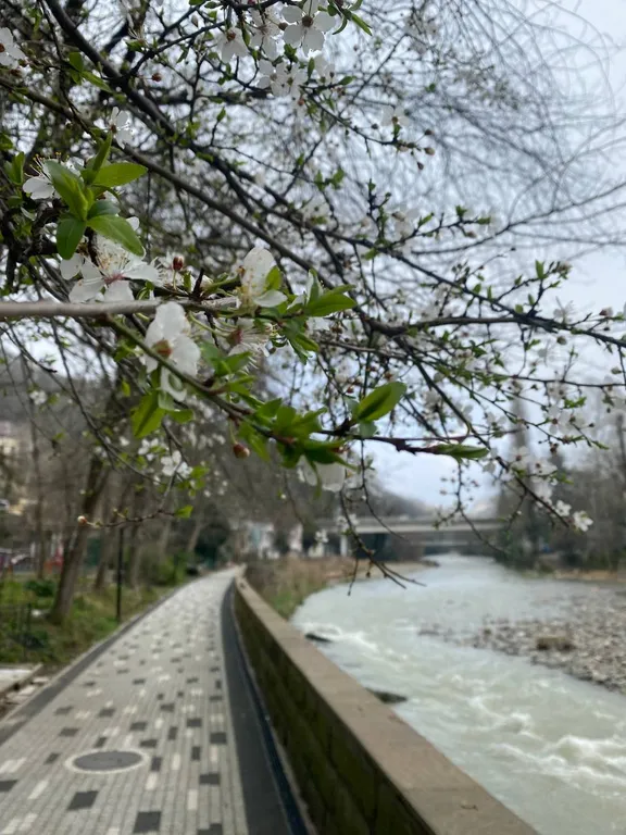 Апартаменты у реки