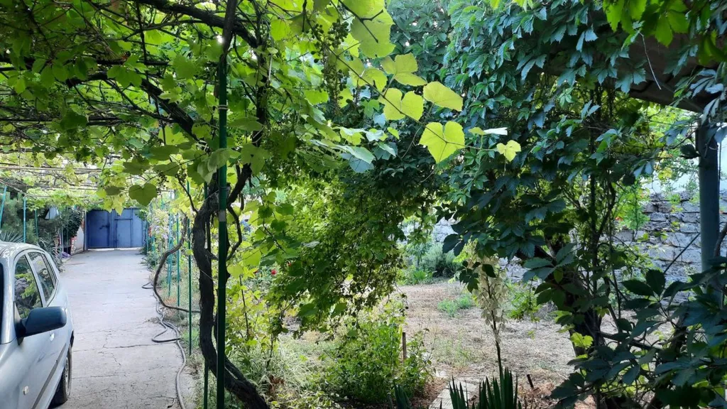 Комната с комфортными условиями близ моря