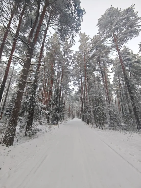 Коттедж Уютный домик на берегу реки — Тверь